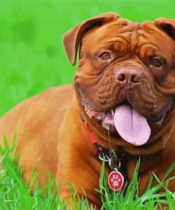 French Mastiff In Grass Diamond Painting