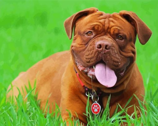 French Mastiff In Grass Diamond Painting