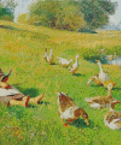 Girl With Geese By River Diamond Painting