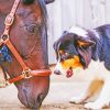 Horse With Mini Aussie Diamond Painting