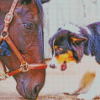 Horse With Mini Aussie Diamond Painting