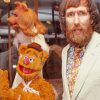 Jim Henson Muppets Diamond Painting