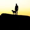 Man And Dog On The Hill Diamond Painting