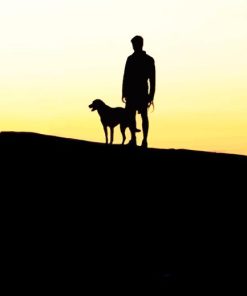 Man And Dog On The Hill Diamond Painting