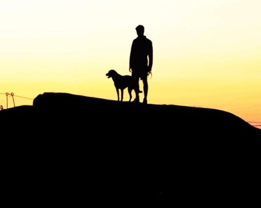 Man And Dog On The Hill Diamond Painting