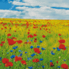 Meadow With Red Flowers Diamond Painting