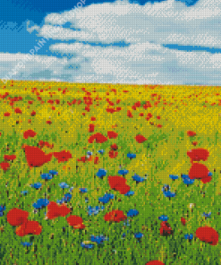 Meadow With Red Flowers Diamond Painting