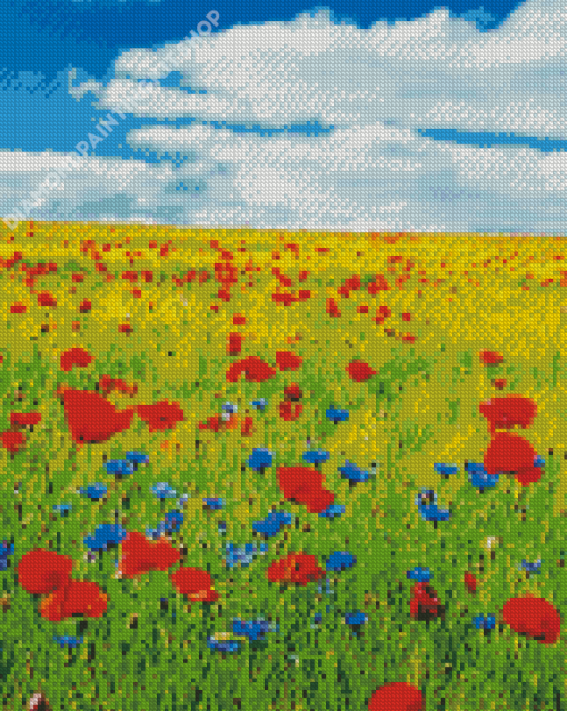 Meadow With Red Flowers Diamond Painting