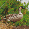 Nene Goose Diamond Painting