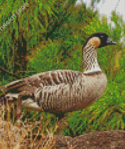 Nene Goose Diamond Painting