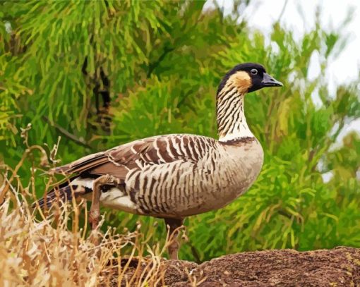 Nene Goose Diamond Painting