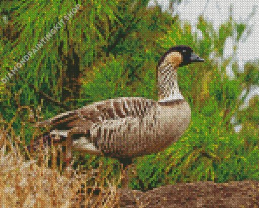 Nene Goose Diamond Painting