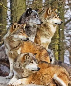 Pack Of Wolves Diamond Painting