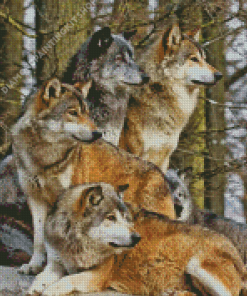 Pack Of Wolves Diamond Painting