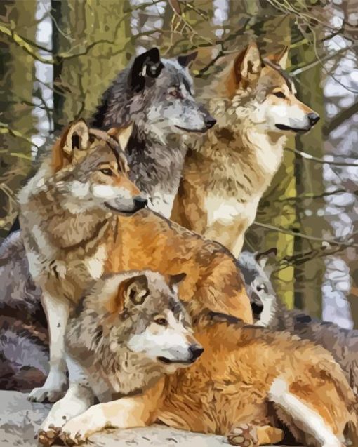 Pack Of Wolves Diamond Painting