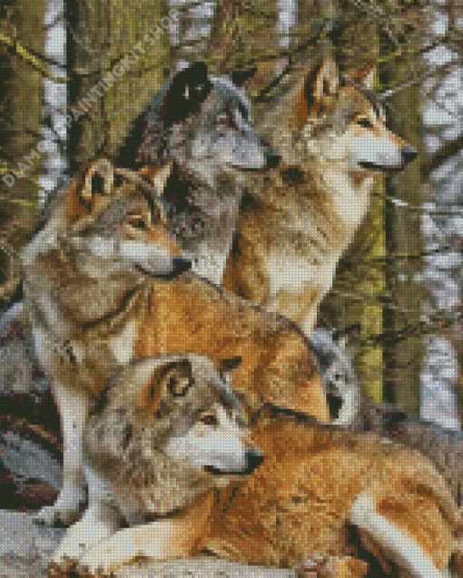 Pack Of Wolves Diamond Painting