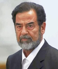 Saddam Hussein Iraqi Statesman Diamond Painting