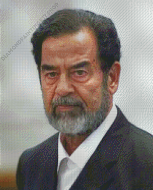 Saddam Hussein Iraqi Statesman Diamond Painting