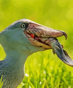 Shoebill Stork Eating Fish Diamond Painting