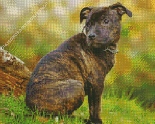 Staffordshire Bull Terrier Diamond Painting