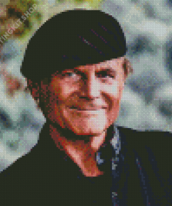 Terence Hill Italian Actor Diamond Painting