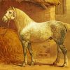 The Percheron Horse Breed Diamond Painting