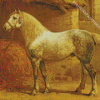 The Percheron Horse Breed Diamond Painting