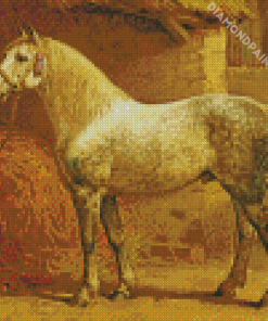 The Percheron Horse Breed Diamond Painting