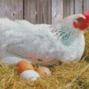 White Chicken With Eggs Diamond Painting