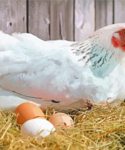 White Chicken With Eggs Diamond Painting