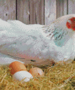 White Chicken With Eggs Diamond Painting