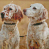 White English Setter Dogs Diamond Painting