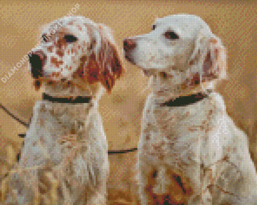 White English Setter Dogs Diamond Painting