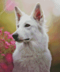 White Swiss Shepherd Pet Diamond Painting