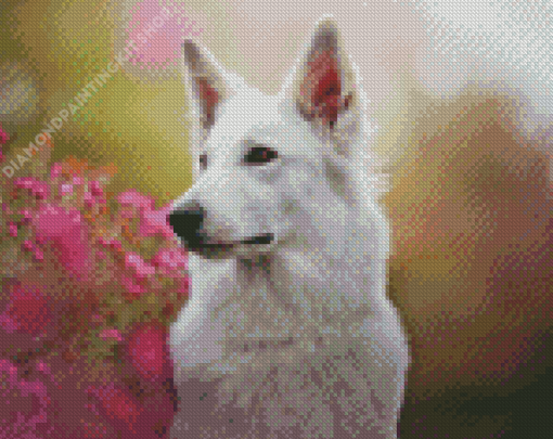 White Swiss Shepherd Pet Diamond Painting