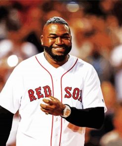 Aesthetic Big Papi Diamond Painting