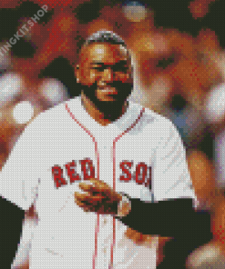 Aesthetic Big Papi Diamond Painting