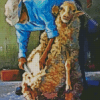 Aesthetic Shearing Diamond Painting