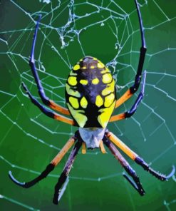 Argiope Aurantia Garden Spider Diamond Painting