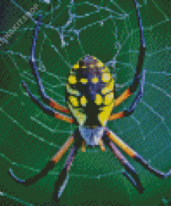 Argiope Aurantia Garden Spider Diamond Painting