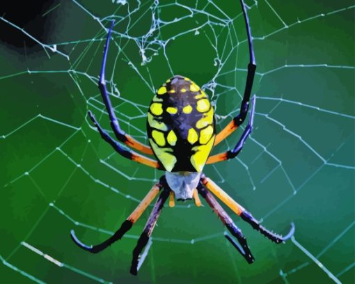 Argiope Aurantia Garden Spider Diamond Painting