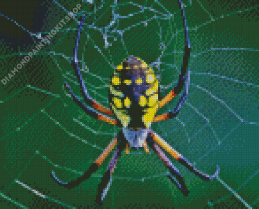 Argiope Aurantia Garden Spider Diamond Painting