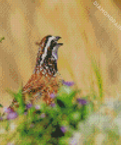 Bobwhite Quail Head Diamond Painting