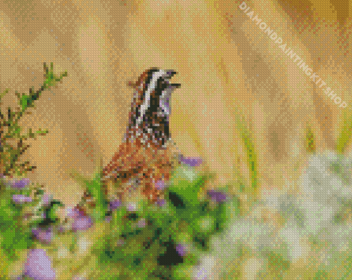 Bobwhite Quail Head Diamond Painting