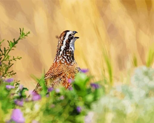 Bobwhite Quail Head Diamond Painting