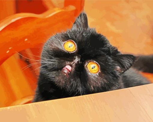 Orange Eye Black Cat Diamond Painting