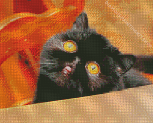 Orange Eye Black Cat Diamond Painting