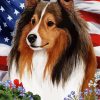 Patriotic Sheltie Sable Diamond Painting