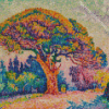 Pine Tree At St Tropez Diamond Painting