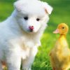 Samoyed Puppy With Duck Diamond Painting